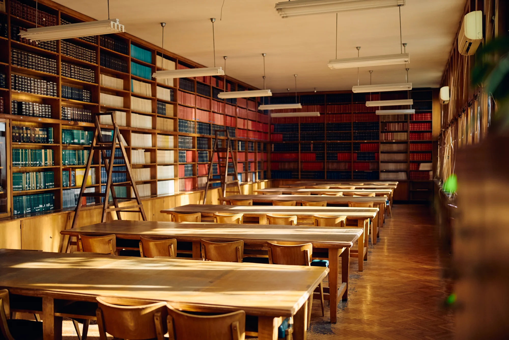Sunlight falling across wooden reading tables and shelves of books in a library